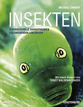 Insekten