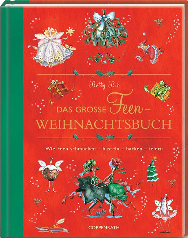 Das grosse Feen-Weihnachtsbuch