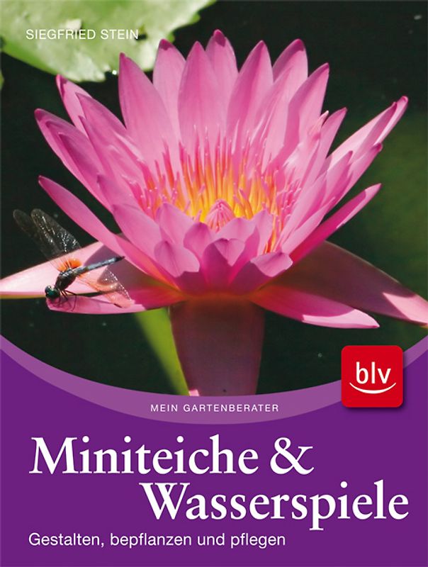 Miniteiche und Wasserspiele