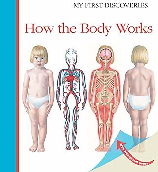 How the Body Works (My First Discoveries)