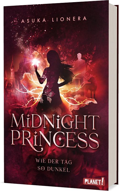 Midnight Princess 2: Wie der Tag so dunkel