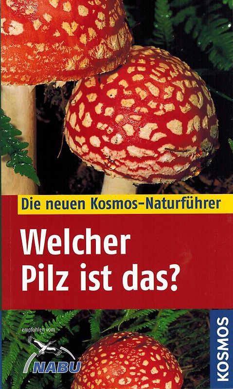 Welcher Pilz ist das?