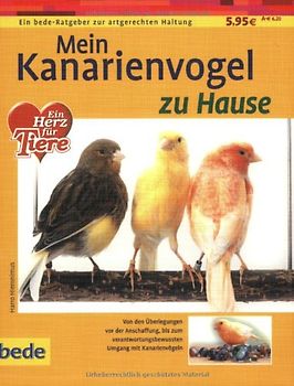 Mein Kanarienvogel zu Hause