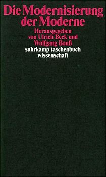 Die Modernisierung der Moderne