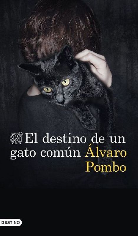 El destino de un gato común