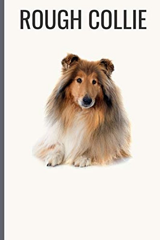 Rough Collie: Rough Collie Notebook with More Rough Collies Inside | Unique Journal For Proud Dog Owners, Dads | 120 Pages Blank (6 x 9 inches)