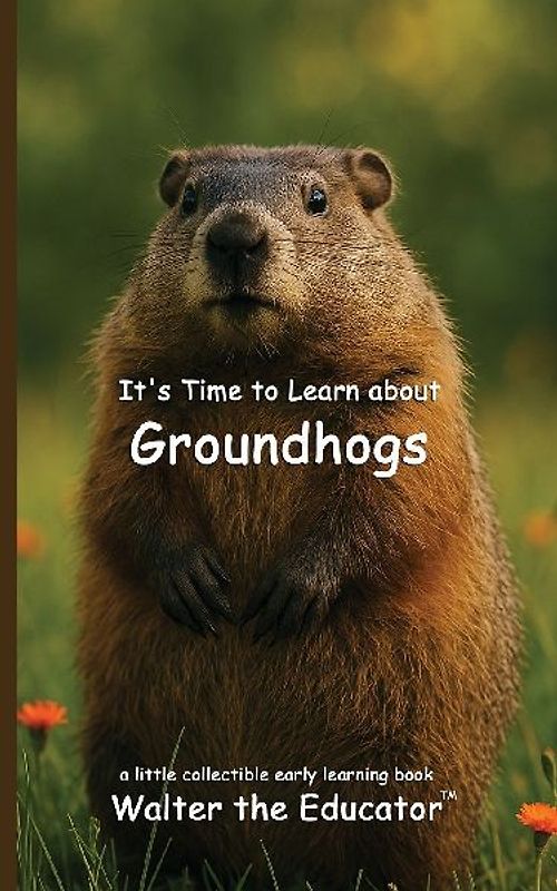 It's Time to Learn about Groundhogs