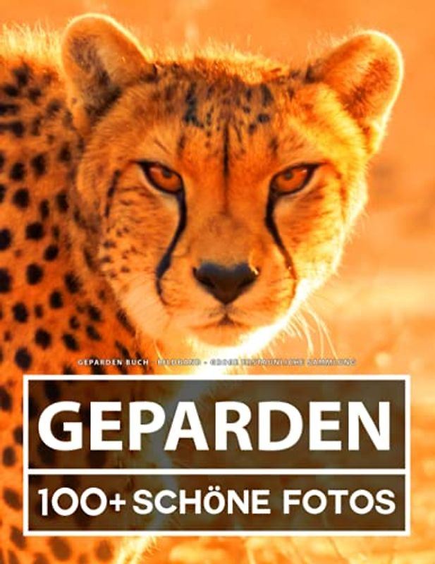 Geparden Buch - Bildband - Große Erstaunliche Sammlung: 100 Wunderschöne Bildern - Für Kinder und Erwachsene