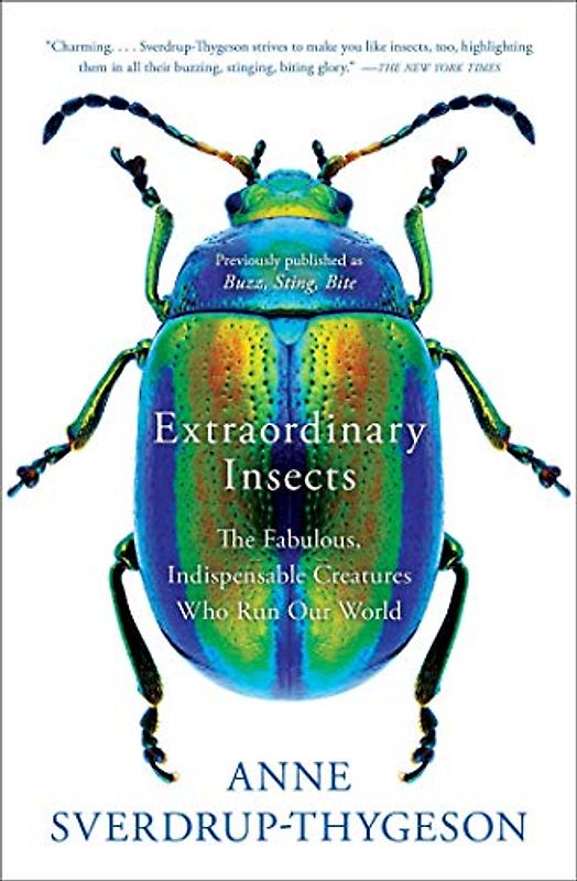 Extraordinary Insects