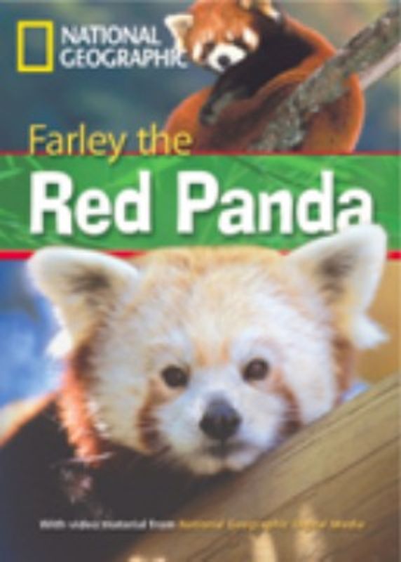 Farley the Red Panda