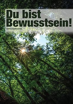 Du bist Bewusstsein!