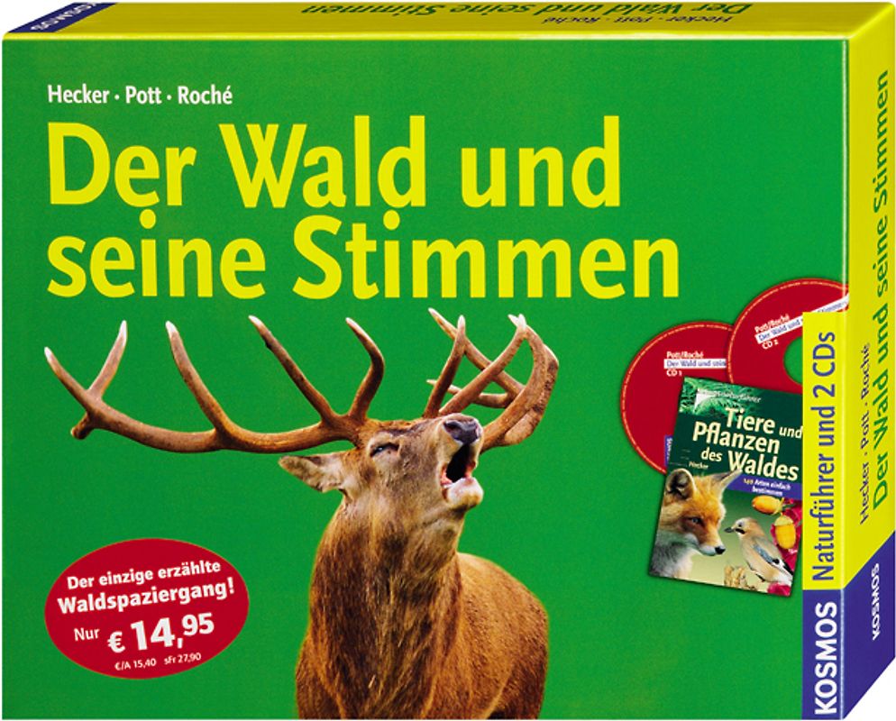 Der Wald und seine Stimmen