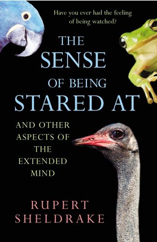 Sense of Being Stared at: And Other Aspects of the Extended Mind - Rupert Sheldrake