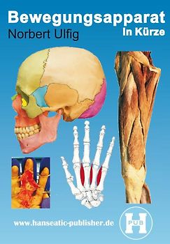 Bewegungsapparat in Kürze