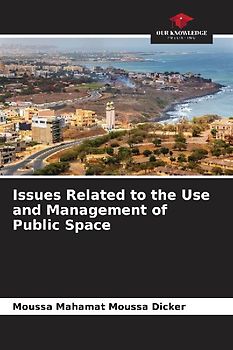 Issues Related to the Use and Management of Public Space