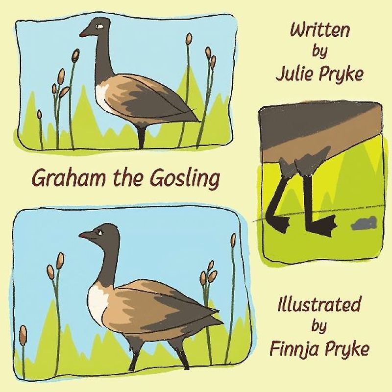 Graham the Gosling