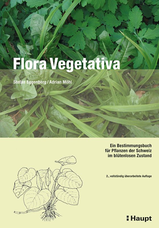 Flora Vegetativa
