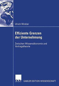 Effiziente Grenzen der Unternehmung