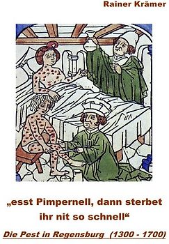 Die Pest in Regensburg (1300 - 1700)