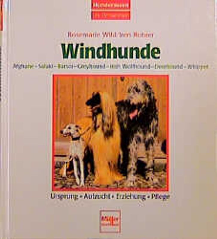 Windhunde - Afghane/Saluki/Barsoi/Greyhound/Irish Wolfhound/Deerhound/