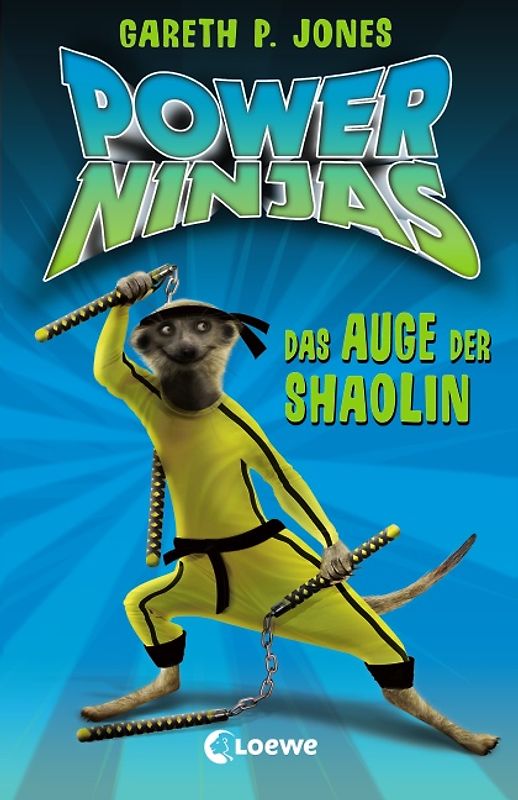 Power Ninjas (Band 2) – Das Auge der Shaolin