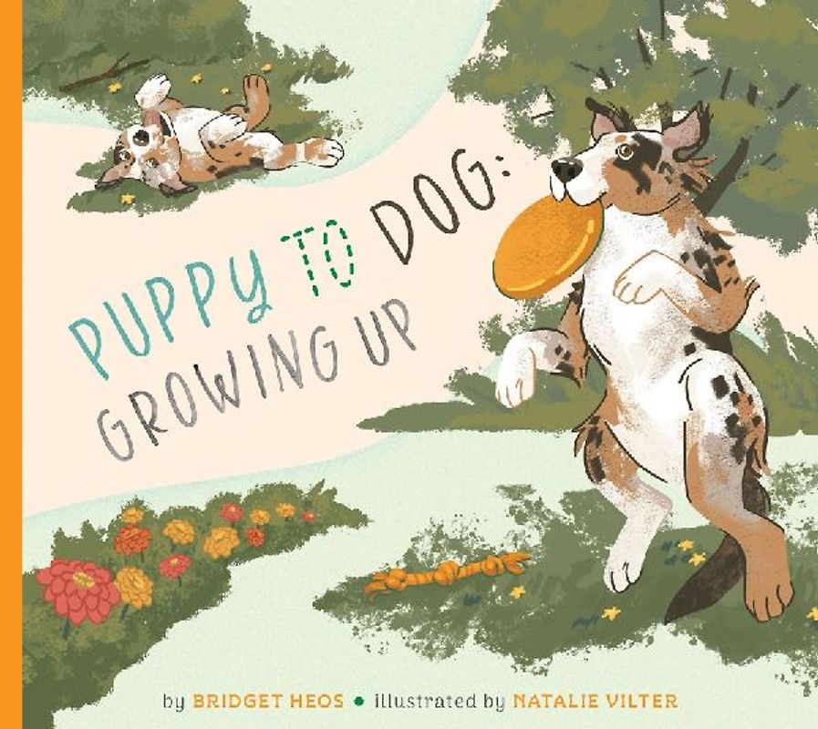 Puppy to Dog: Growing Up