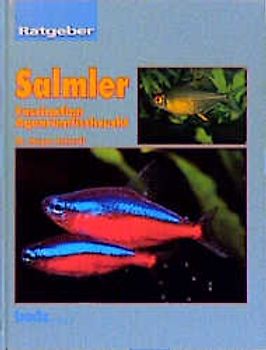 Ratgeber Salmler