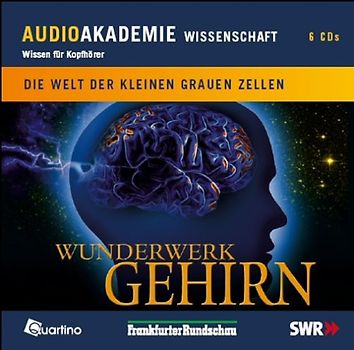 Wunderwerk Gehirn