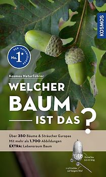 Welcher Baum ist das?