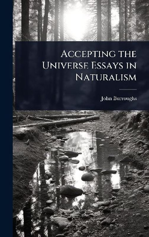 Accepting the Universe Essays in Naturalism