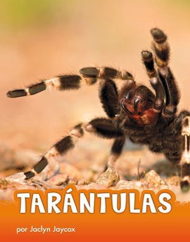 Tarántulas
