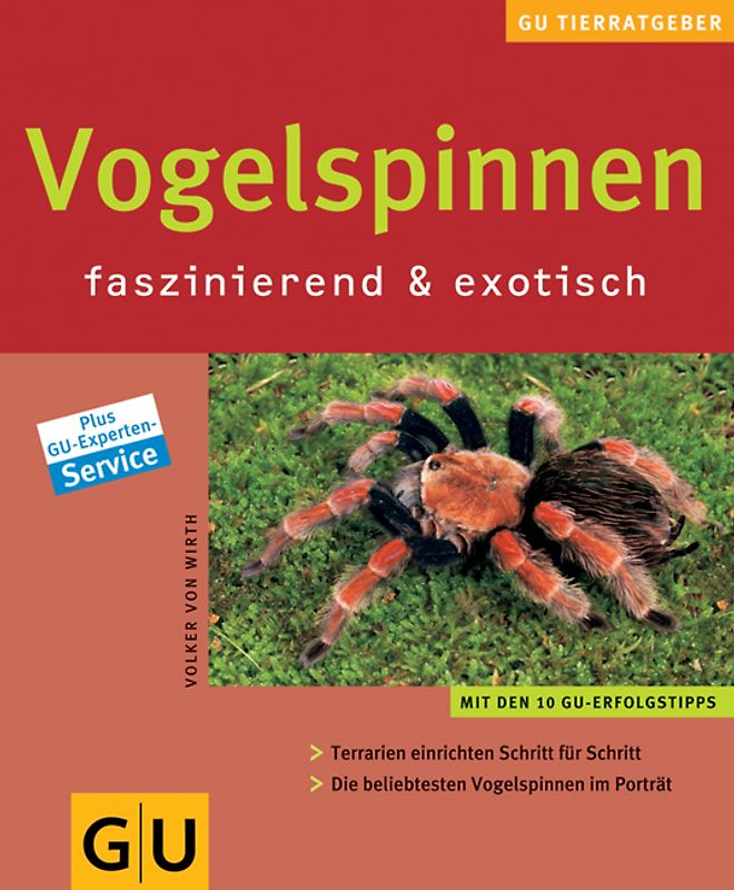 Vogelspinnen faszinierend & exotisch