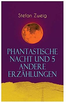 Phantastische Nacht und 5 andere Erzählungen: Sommernovellette + Die Gouvernante + Die spät bezahlte Schuld + Vierundzwanzig Stunden aus dem Leben ... Frau und die Landschaft + Phantastische Nacht