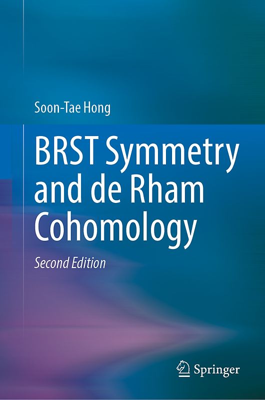 BRST Symmetry and de Rham Cohomology