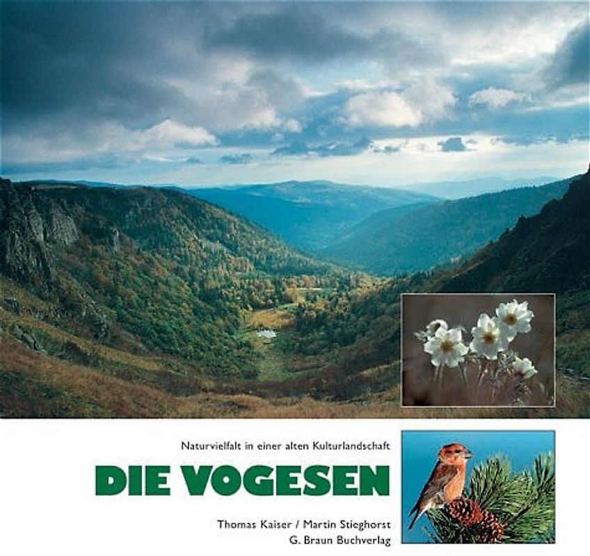 Die Vogesen
