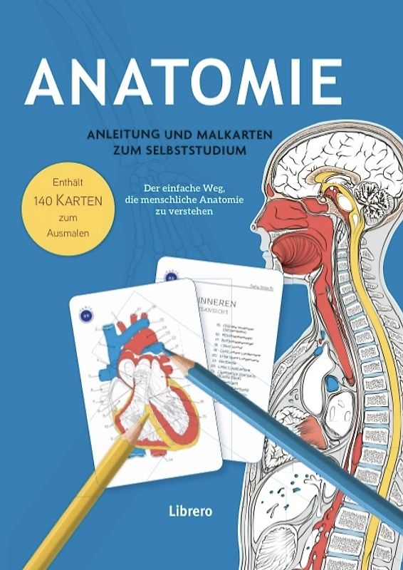 Anatomie – Anleitung und Malkarten zum Selbststudium