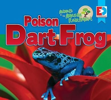 Animals of the Amazon Rainforest: Poison Dart Frog