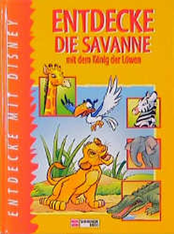 Entdecke die Wüste mit dem König der Löwen