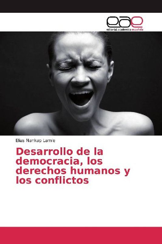 Desarrollo de la democracia, los derechos humanos y los conflictos