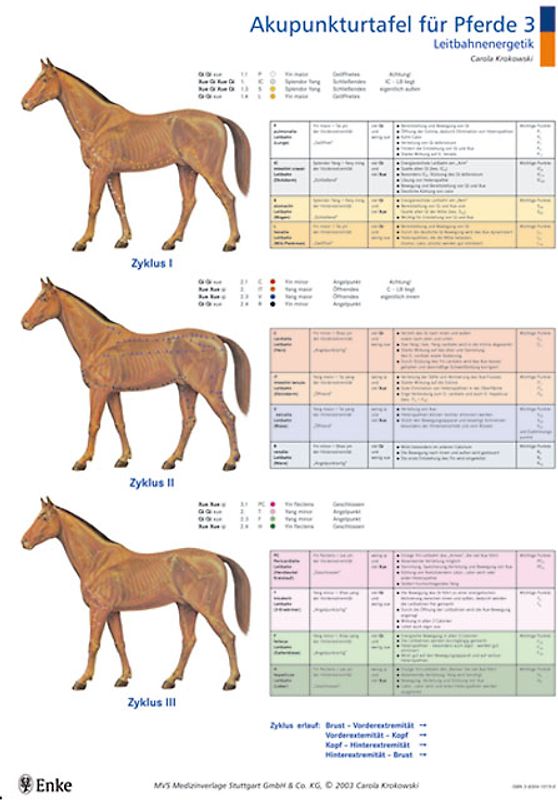 Akupunkturtafeln für Pferde 3 + 4