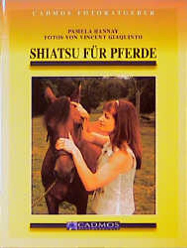 Shiatsu für Pferde