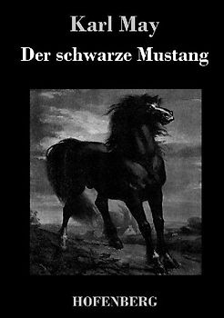 Der schwarze Mustang
