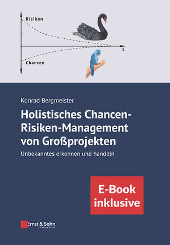 Holistisches Chancen-Risiken-Management von Großprojekten