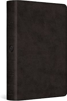 Large Print Bible-ESV