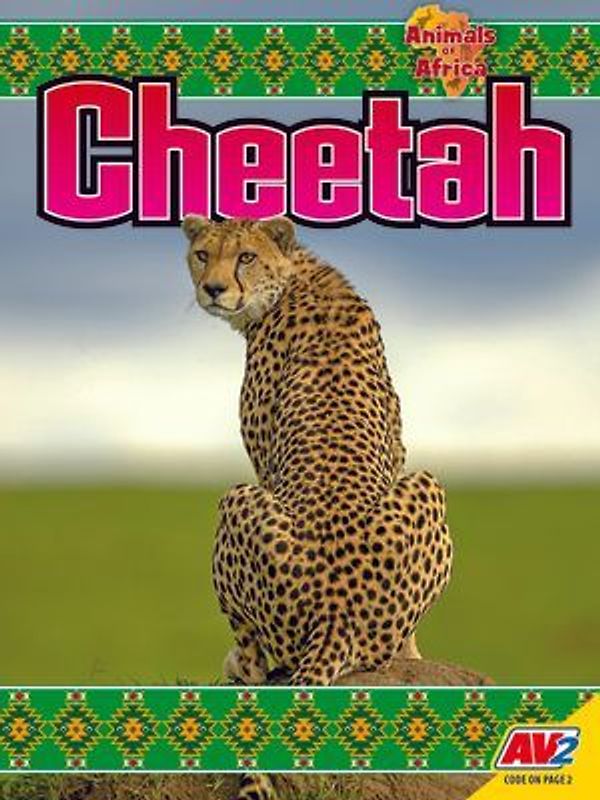 Cheetah
