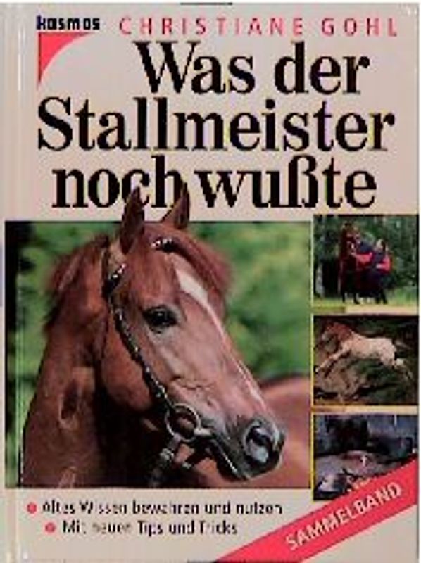 Was der Stallmeister noch wusste