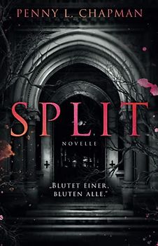 Split: Eine Unfolding Novelle (Rebels of St. Cilline, Band 2)