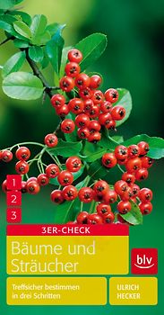 Bäume und Sträucher