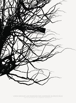 Loris Gréaud: Ladi Rogeurs. Sir Loudrage. Glorius Read