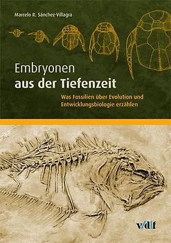 Embryonen aus der Tiefenzeit